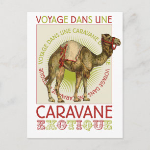 Kamelkarawane Postkarte