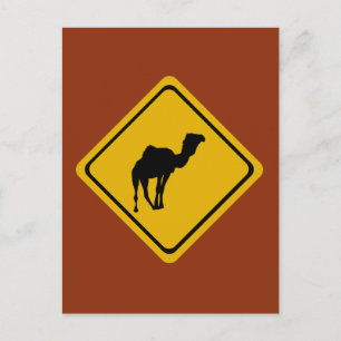 Kamelstraßenzeichen Postkarte