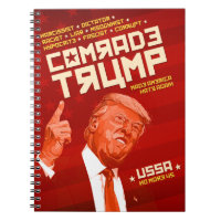 Kamerad Trump - sowjetisches Poster