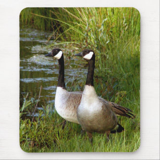 Kameraden für das Leben Mousepad