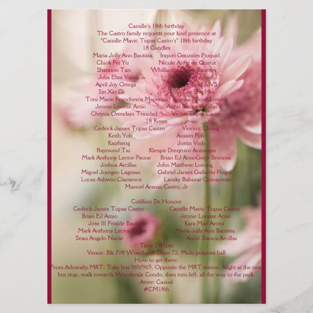 KAMILLE 18. PROGRAMM (Vorderseite)