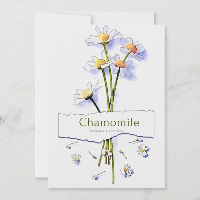 Kamille Vintage Aquarellmalerei Einladung (Vorderseite)