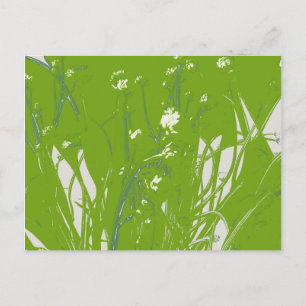 Kamillengrün Postkarte
