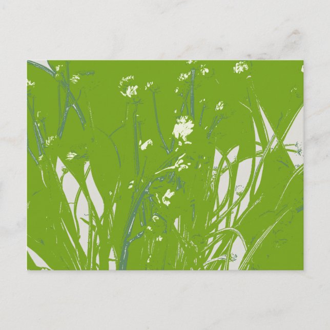 Kamillengrün Postkarte (Vorderseite)