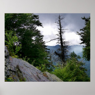 Kaminberger Bergweg auf den Großen Smoky-Bergen Poster