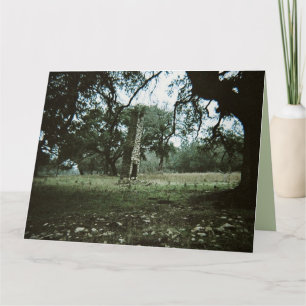 Kaminruinen-Leerkarte Karte