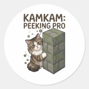 KAMKAM Spähender Pro Lustiger Pixel Block Katzenku Runder Aufkleber
