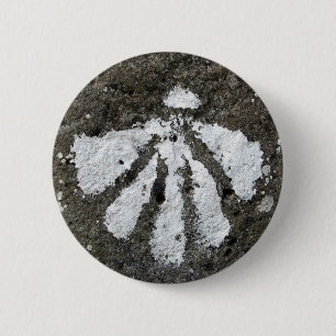 Kamm-Muschel-Muschel-Knopf Button