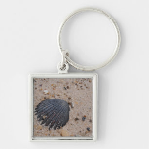 Kamm-Muschel-Muschelschlüsselring Schlüsselanhänger