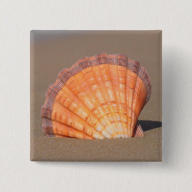 Kamm-Muschel Shell| Kreta, Griechenland Button (Vorderseite)