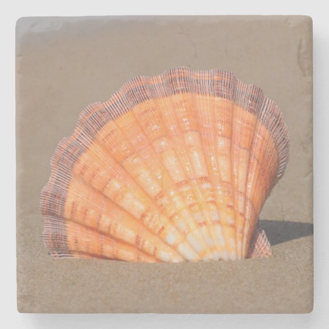 Kamm-Muschel Shell| Kreta, Griechenland Steinuntersetzer (Vorderseite)