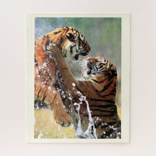Kampf gegen Tiger