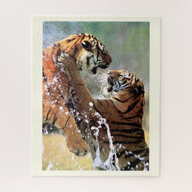 Kampf gegen Tiger (Vertikal)