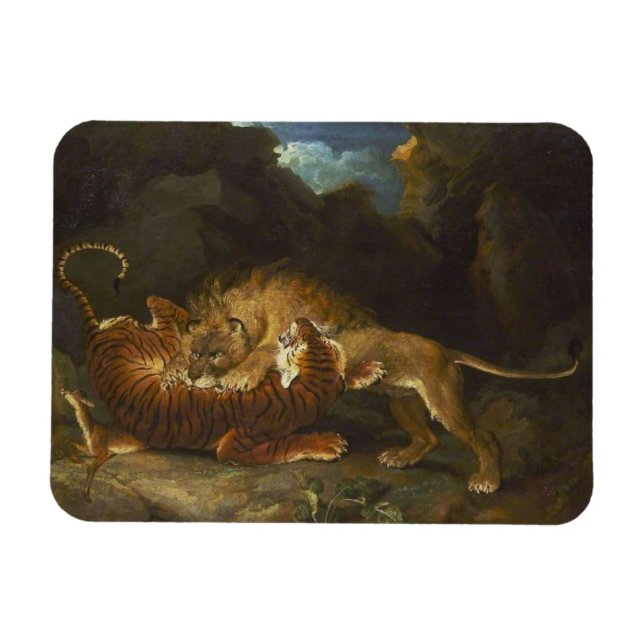 Kampf zwischen Löwen und Tiger Magnet (Horizontal)