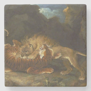 Kampf zwischen Löwen und Tiger Steinuntersetzer