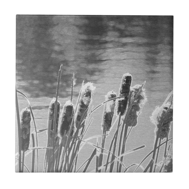 Kämpfe am Teich in Schwarz und Weiß Fliese (Vorderseite)