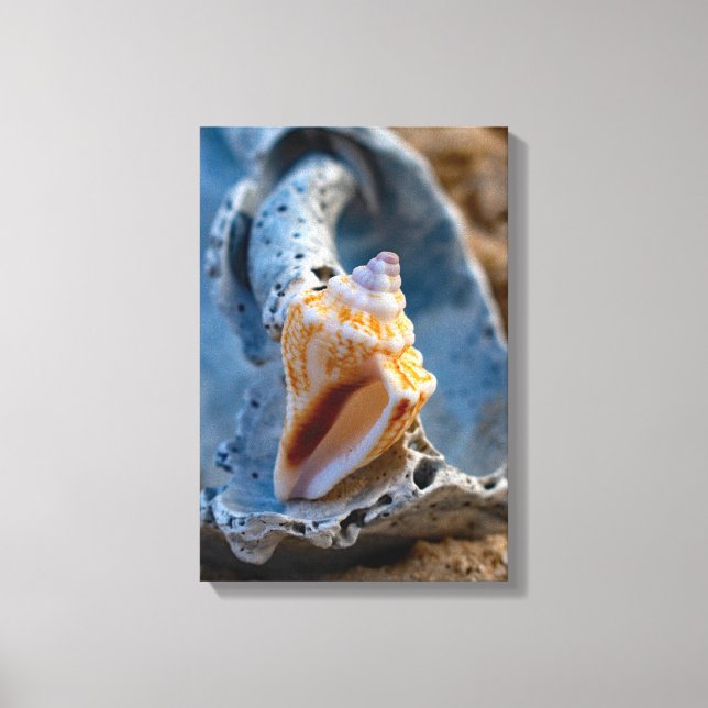 Kämpfe gegen Conch an einer zerbrochenen Schönheit Leinwanddruck (Vorderseite)