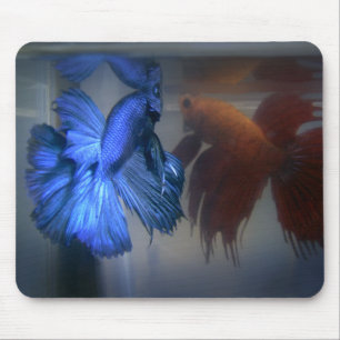 Kämpfende Fische Mousepad