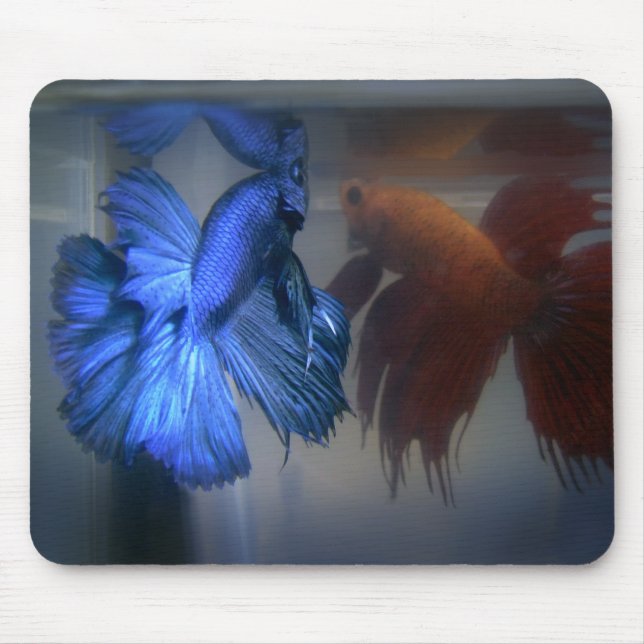 Kämpfende Fische Mousepad (Vorne)