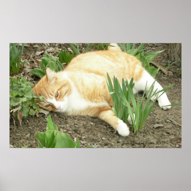 Kämpfer im Garten Poster (Vorne)