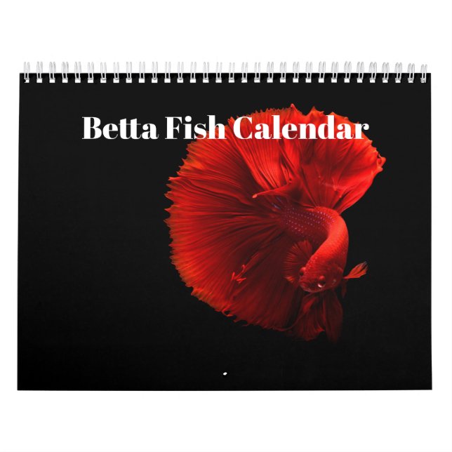 Kampffisch 2027 kalender (Titelbild)
