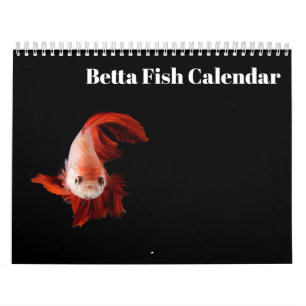 Kampffisch 2027 Kalender