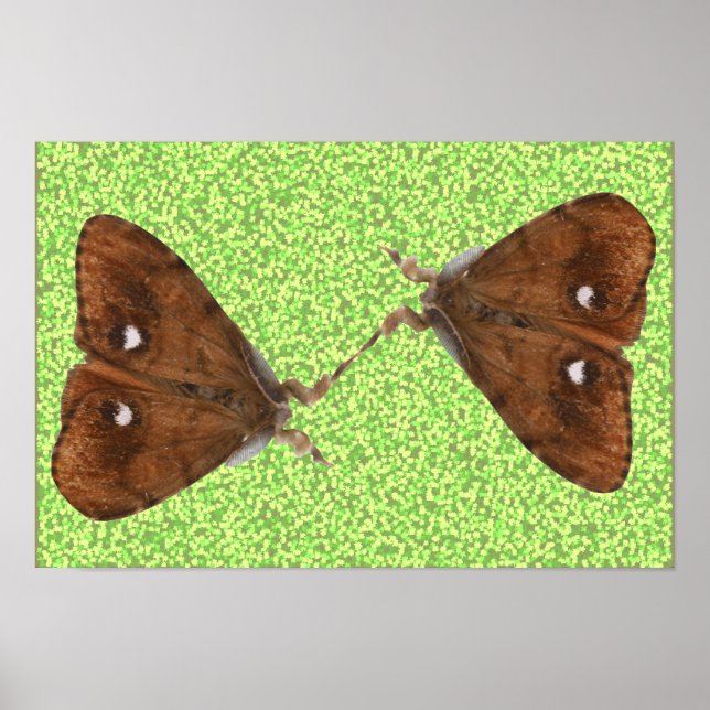Kampfflugzeuge Poster (Vorne)
