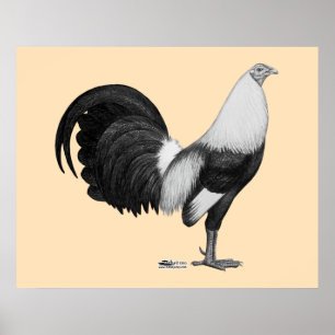 Kampfhahn Grau Duckwing Poster
