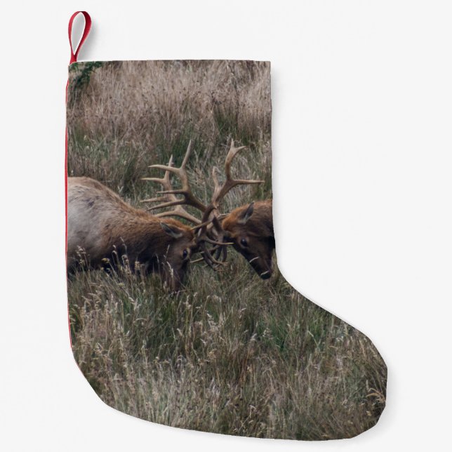 KAMPFTIEGE KLEINER WEIHNACHTSSTRUMPF (Vorderseite)