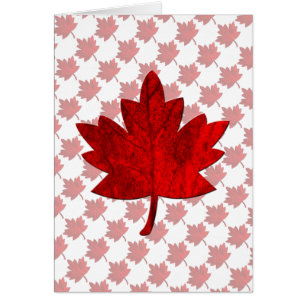 Kanada-Ahornleaf von Shirley Taylor Note Card