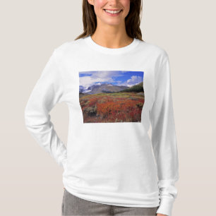 Kanada, Alberta, Banff NP. Heidelbeeren blühen T-Shirt