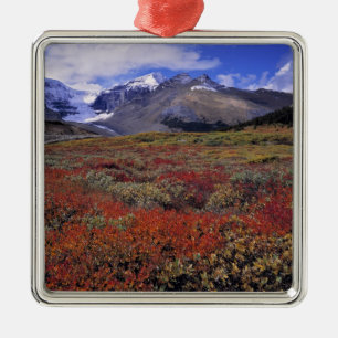 Kanada, Alberta, Banff NP. Heidelbeeren liefern Ornament Aus Metall