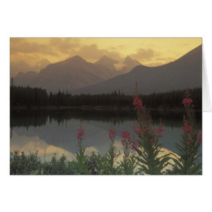 Kanada, Alberta, Banff. Sonnenaufgangspanorama von