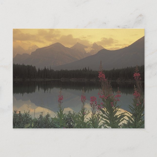 Kanada, Alberta, Banff. Sunrise landschaftlich von Postkarte (Vorderseite)