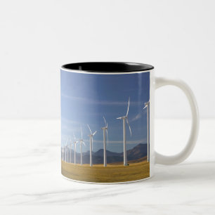 Kanada, Alberta, Crowsnest Pass Area: Cowley Zweifarbige Tasse