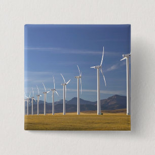 Kanada, Alberta, Gebiet Crowsnest Pass: Cowley Button