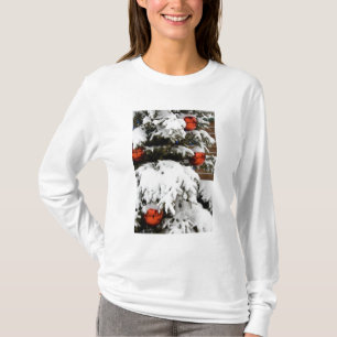 Kanada, Alberta, Jasper, Jasper NP. Fairmont 2 T-Shirt
