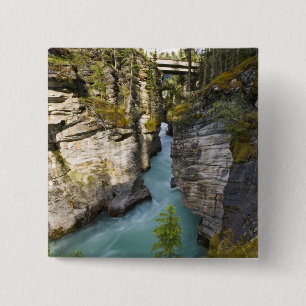 Kanada, Alberta, Jasper National Park, Athabasca 2 Button