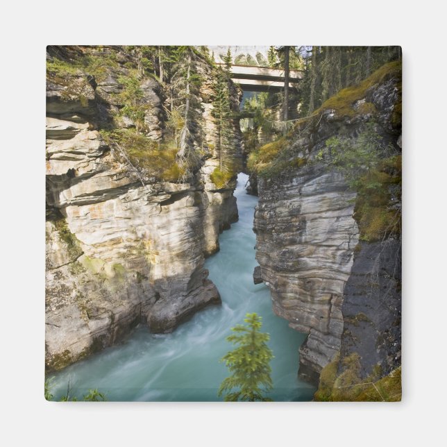 Kanada, Alberta, Jasper National Park, Athabasca 2 Magnet (Vorne)