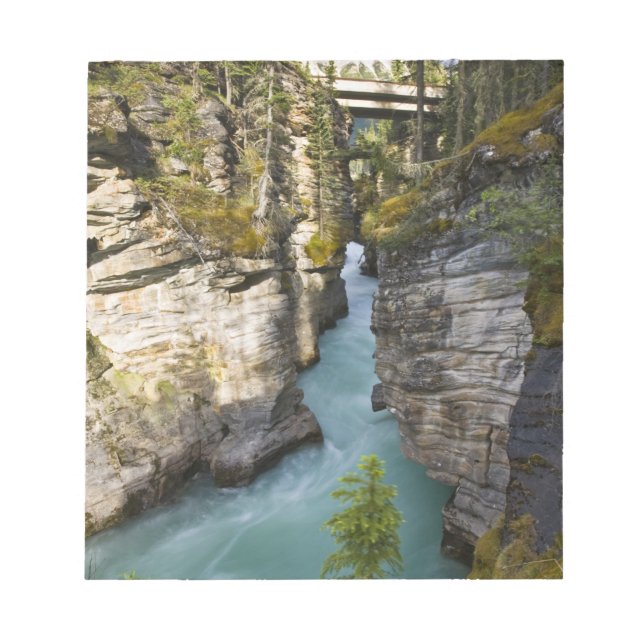 Kanada, Alberta, Jasper National Park, Athabasca 2 Notizblock (Vorderseite)