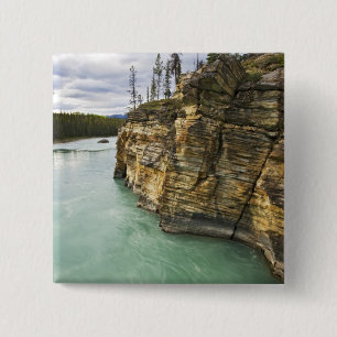 Kanada, Alberta, Jasper National Park, Athabasca Button