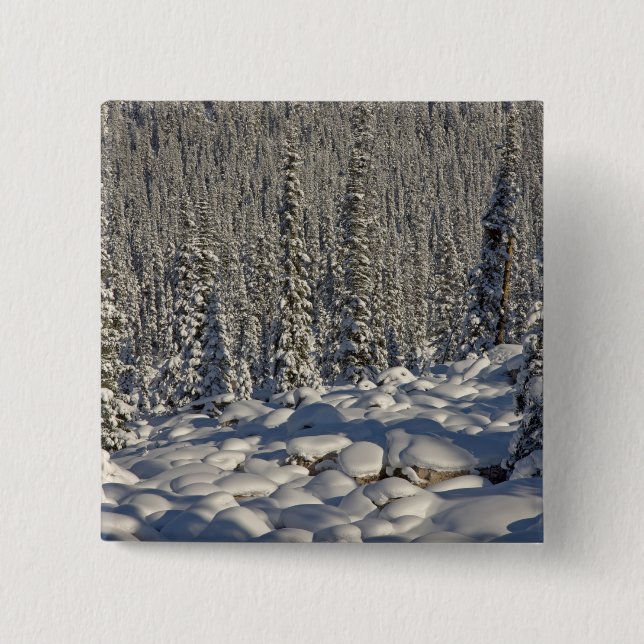 Kanada, Alberta, Jasper National Park. Button (Vorderseite)