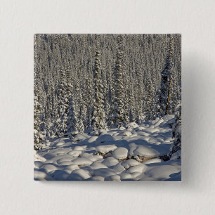 Kanada, Alberta, Jasper National Park. Button