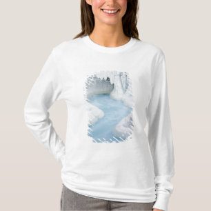 Kanada, Alberta, Jasper National Park. Die T-Shirt