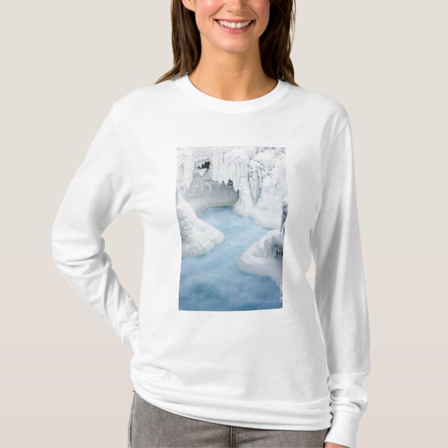 Kanada, Alberta, Jasper National Park. Die T-Shirt (Vorderseite)