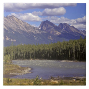 Kanada, Alberta, Jasper National Park. Groß Fliese