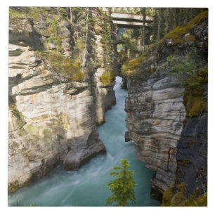 Kanada, Alberta, Jasper-Nationalpark, Athabasca 2 Fliese