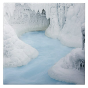 Kanada, Alberta, Jasper-Nationalpark. Die Fliese