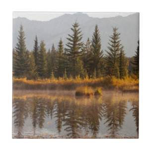 Kanada, Alberta, Jasper-Nationalpark Fliese