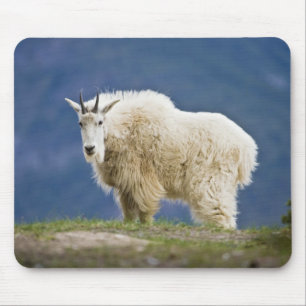 Kanada, Alberta, Jasper-Nationalpark, Mousepad